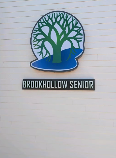 Brookhollow Senior Apartments - Photo 5 of 91