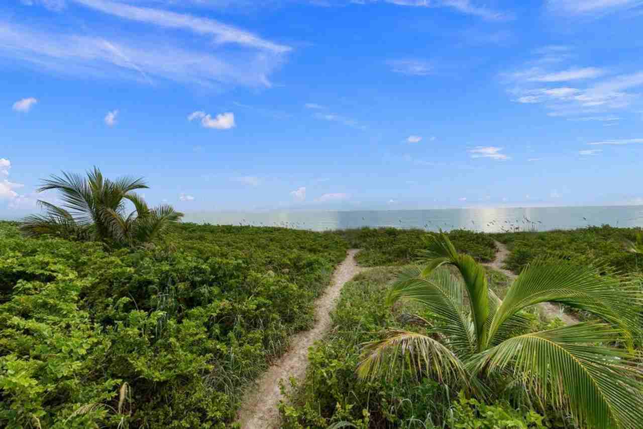 3101 3101 N Hwy A1A PhA4 - Photo 4 of 50