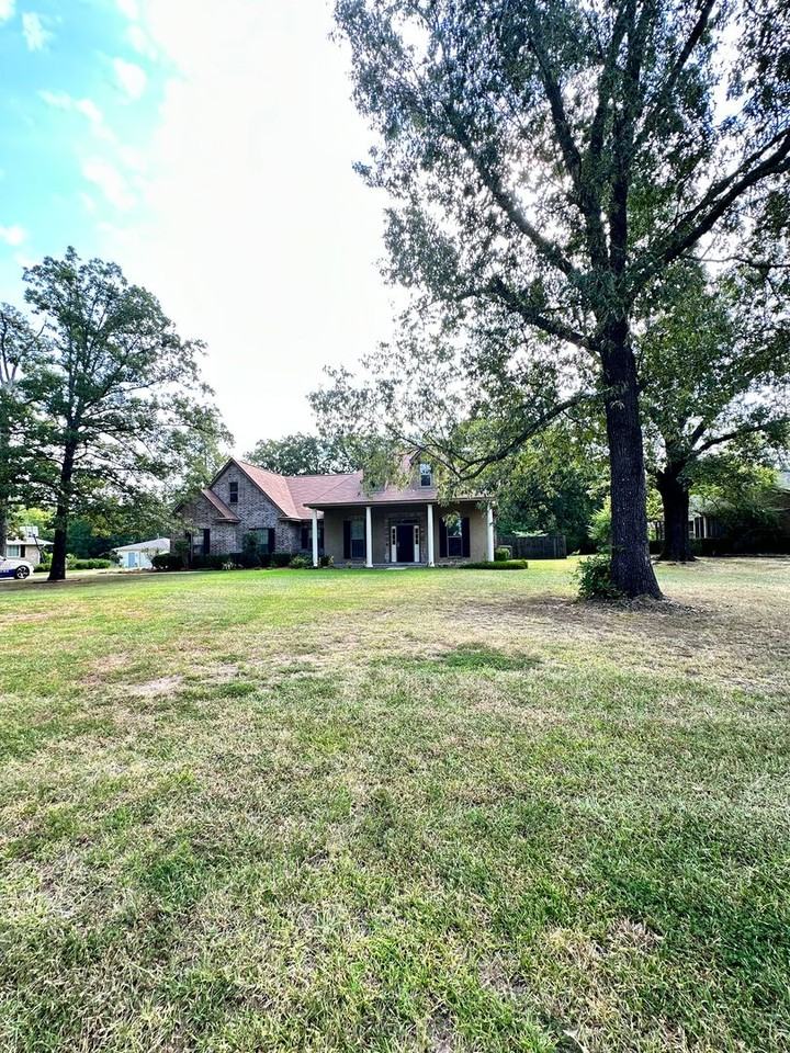 297 Old Palmetto Rd - Photo 2 of 27