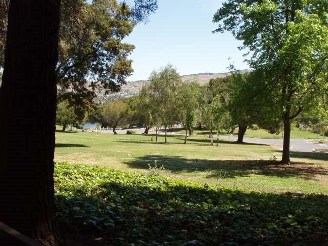 1459 N Camino Alto - Photo 2 of 25