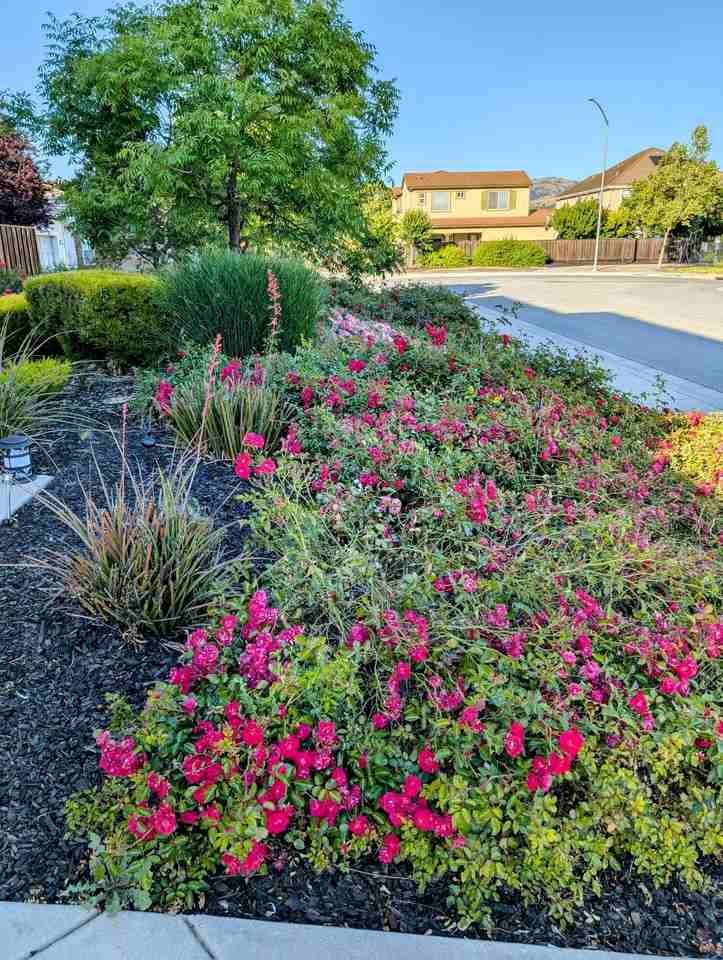 655 San Marino Ct #NA - Photo 3 of 38