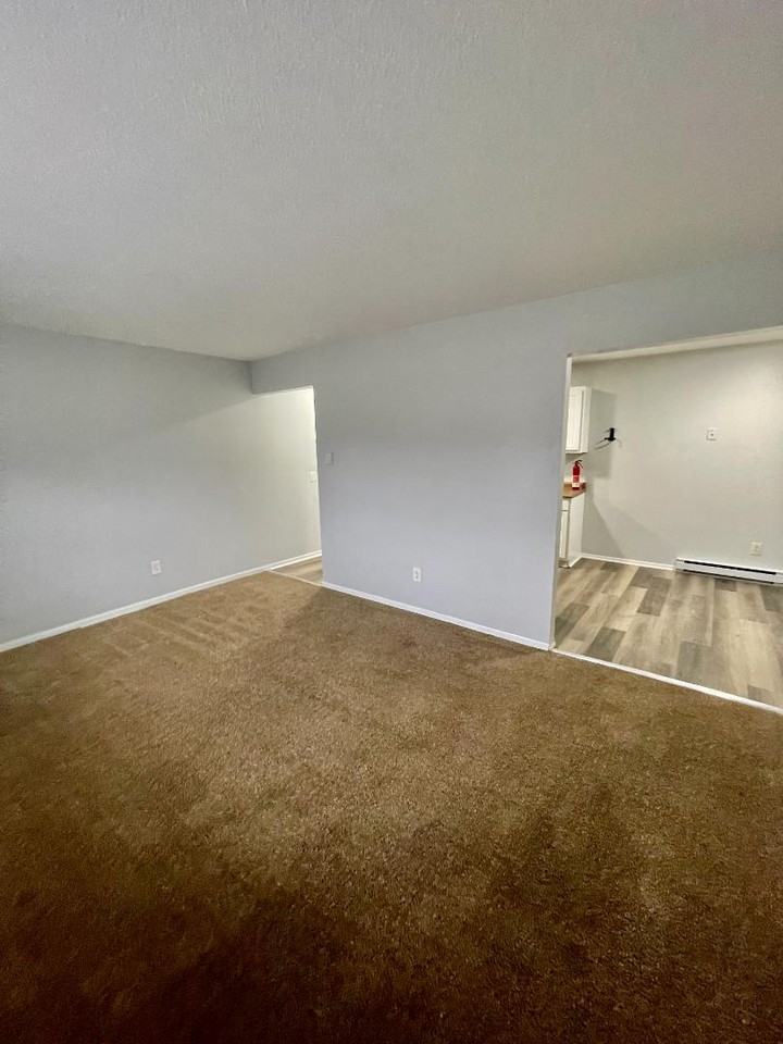 1338 Brooke Park Dr - Photo 6 of 7