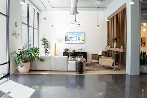 Greenhaus - Photo 5 of 17