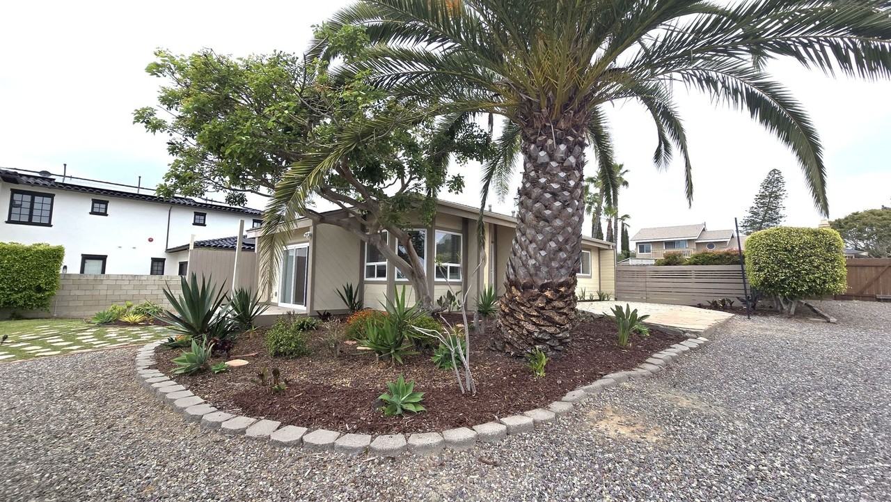 603 Camino De Orchidia - Photo 2 of 24