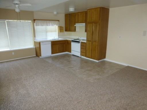 25314 Via Saludo - Photo 3 of 14