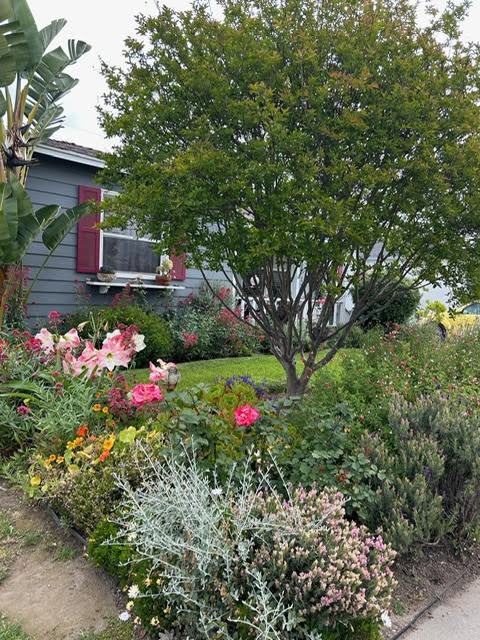 Flory Street And Norwalk Blvd Area #NA - Photo 2 of 12