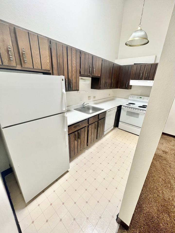 Char Rose - Photo 6 of 13