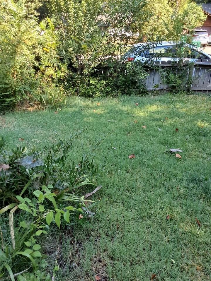 535 W 4th Ave - Photo 2 of 17