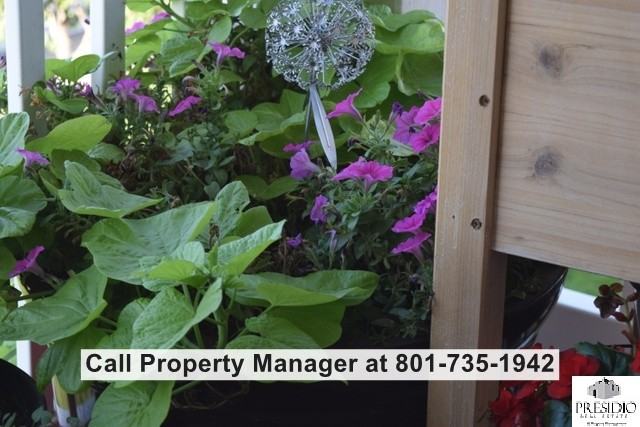 2457 Westsouth #2 - Photo 3 of 30