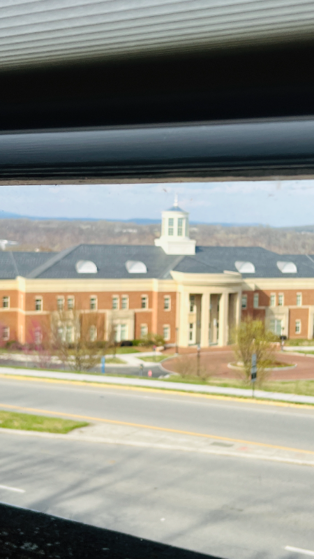 812 Tyler Ave - Photo 3 of 18