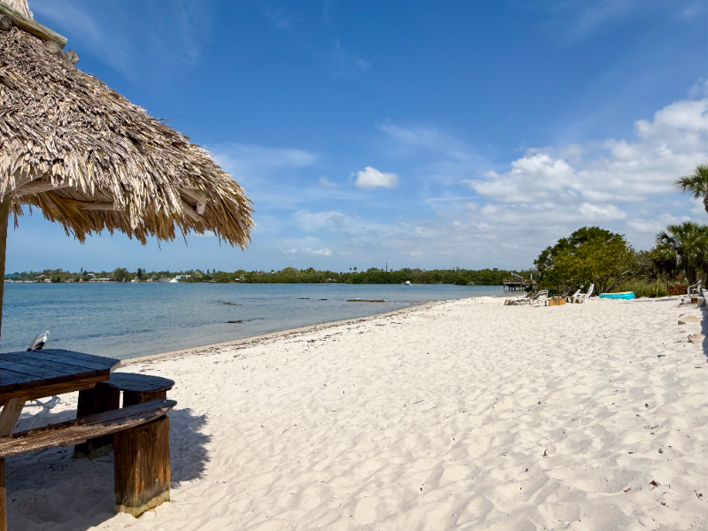 3657 42nd Way S #59F - Photo 4 of 18