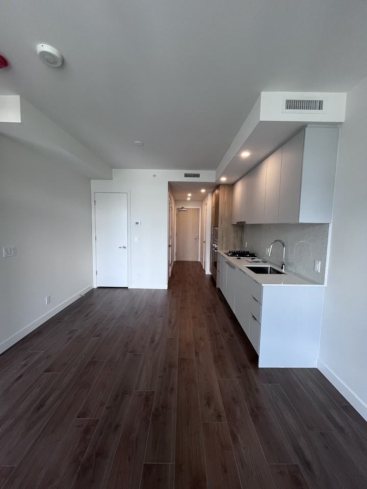 537 Cottonwood Ave #1003 - Photo 3 of 9