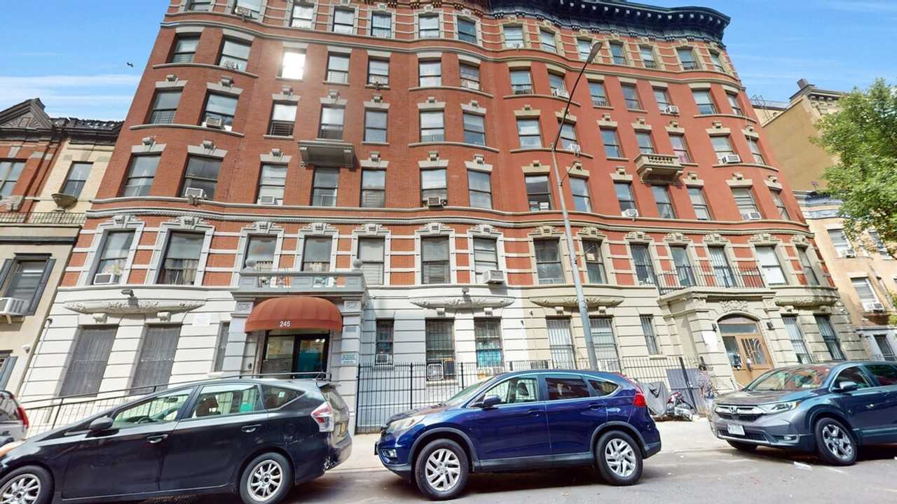 245 West 113th Street - Photo 4 of 98