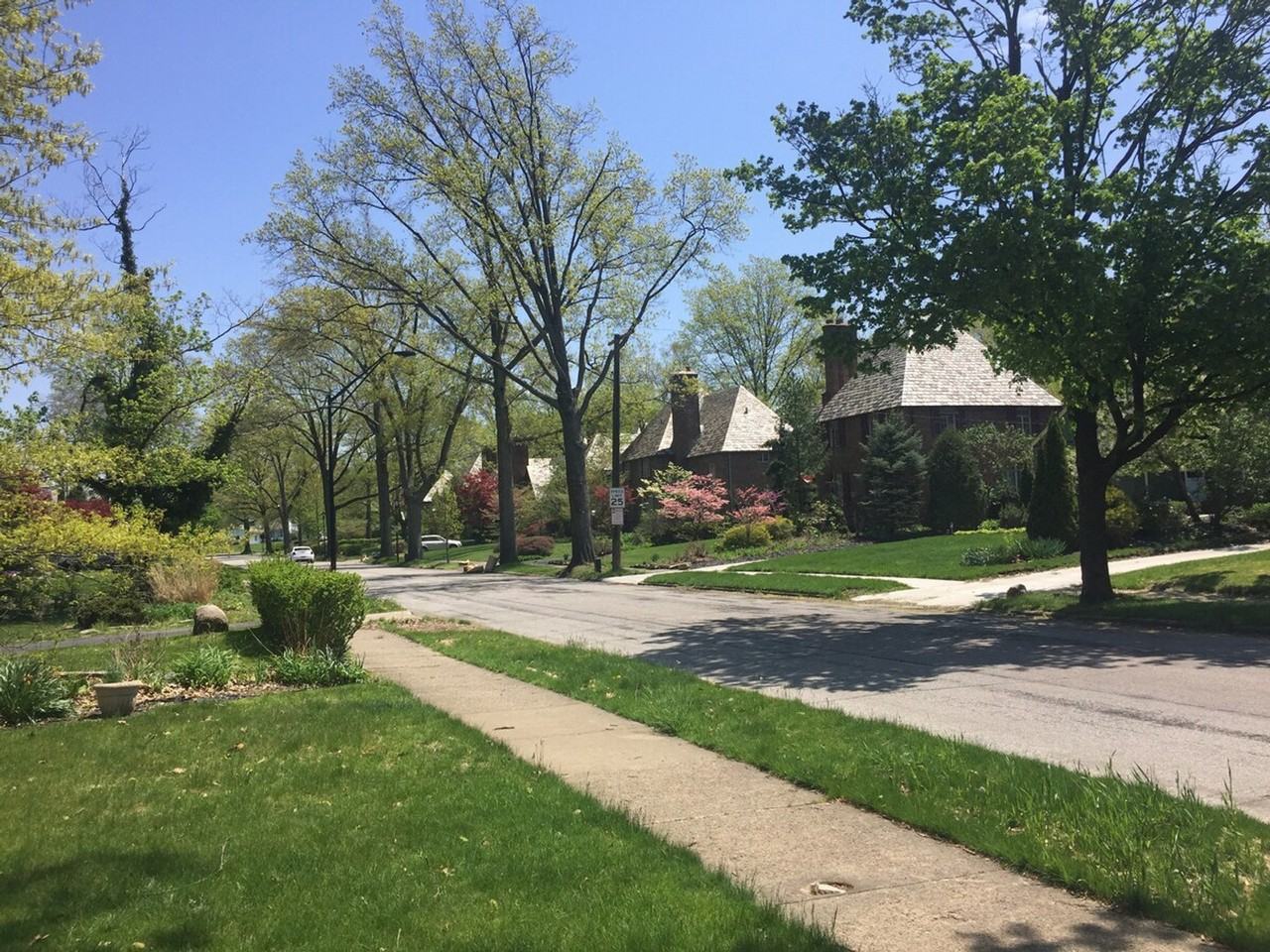 16225 Glynn Rd #1057689P - Photo 4 of 47