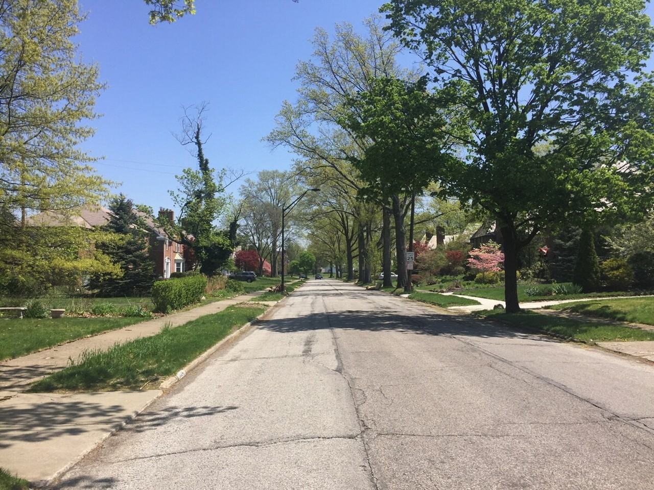 16225 Glynn Rd #1057689P - Photo 5 of 47