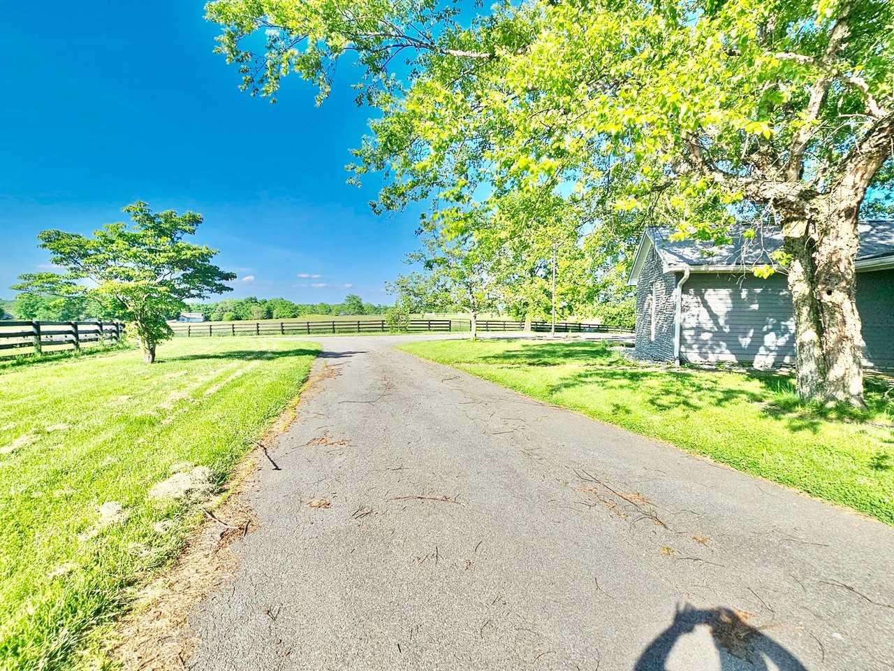 6490 Russell Cave Rd - Photo 3 of 50