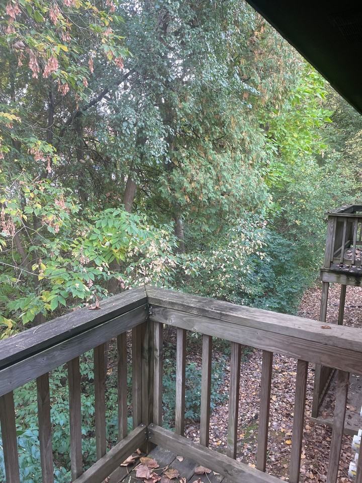 One bedroom apartment with balcony - Photo 7 of 14