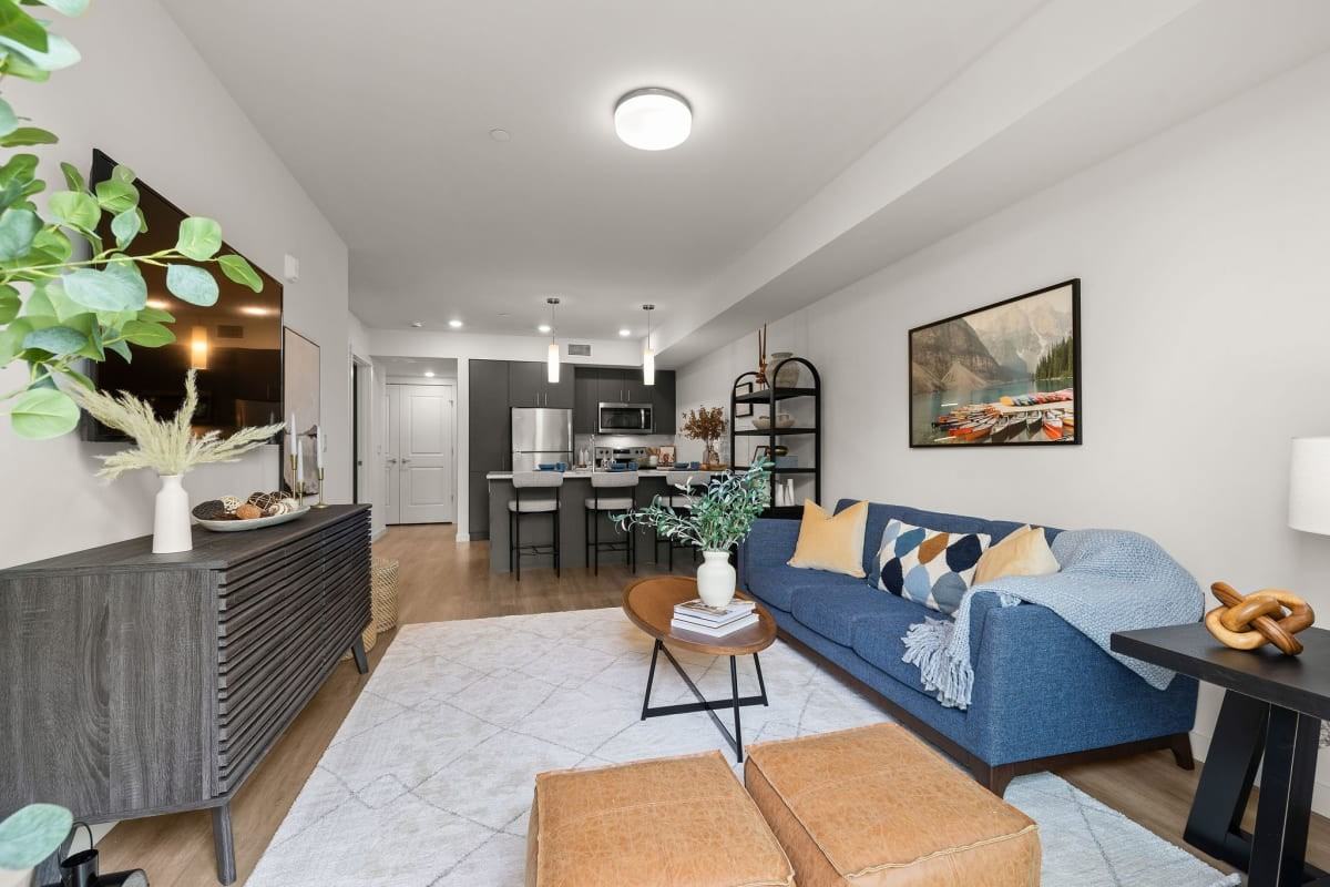 Trouve - Photo 6 of 30