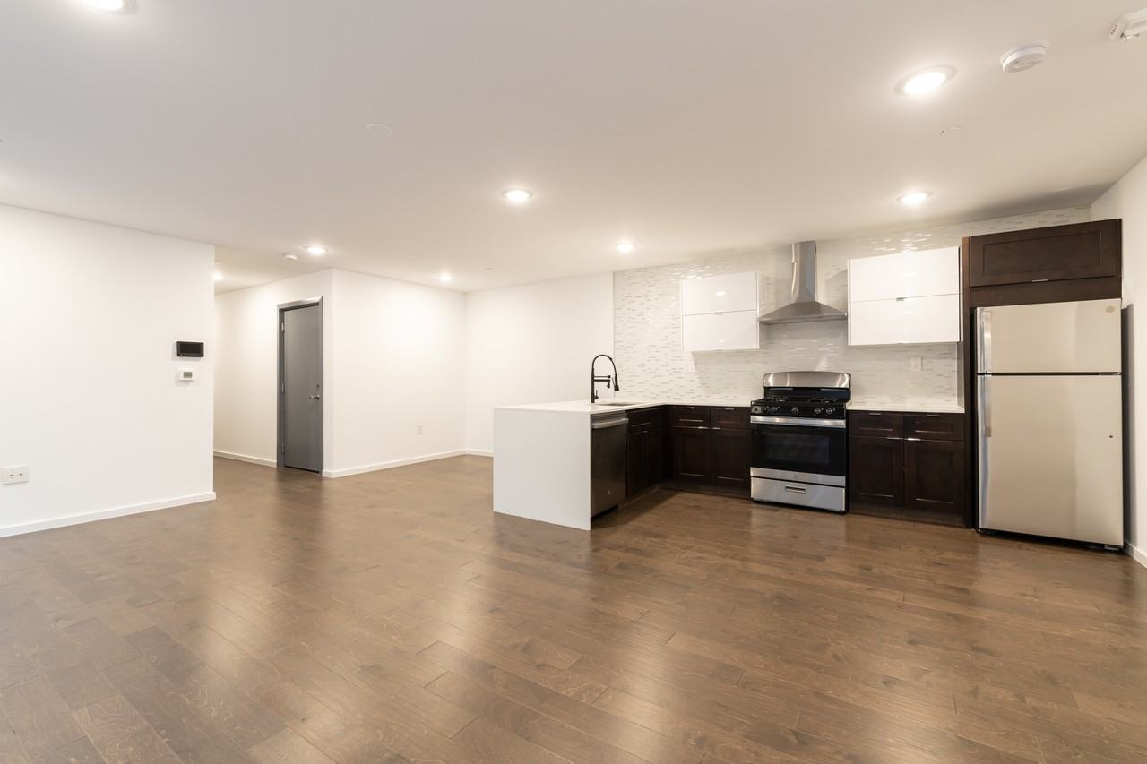 1233 North Franklin Street - Photo 3 of 48