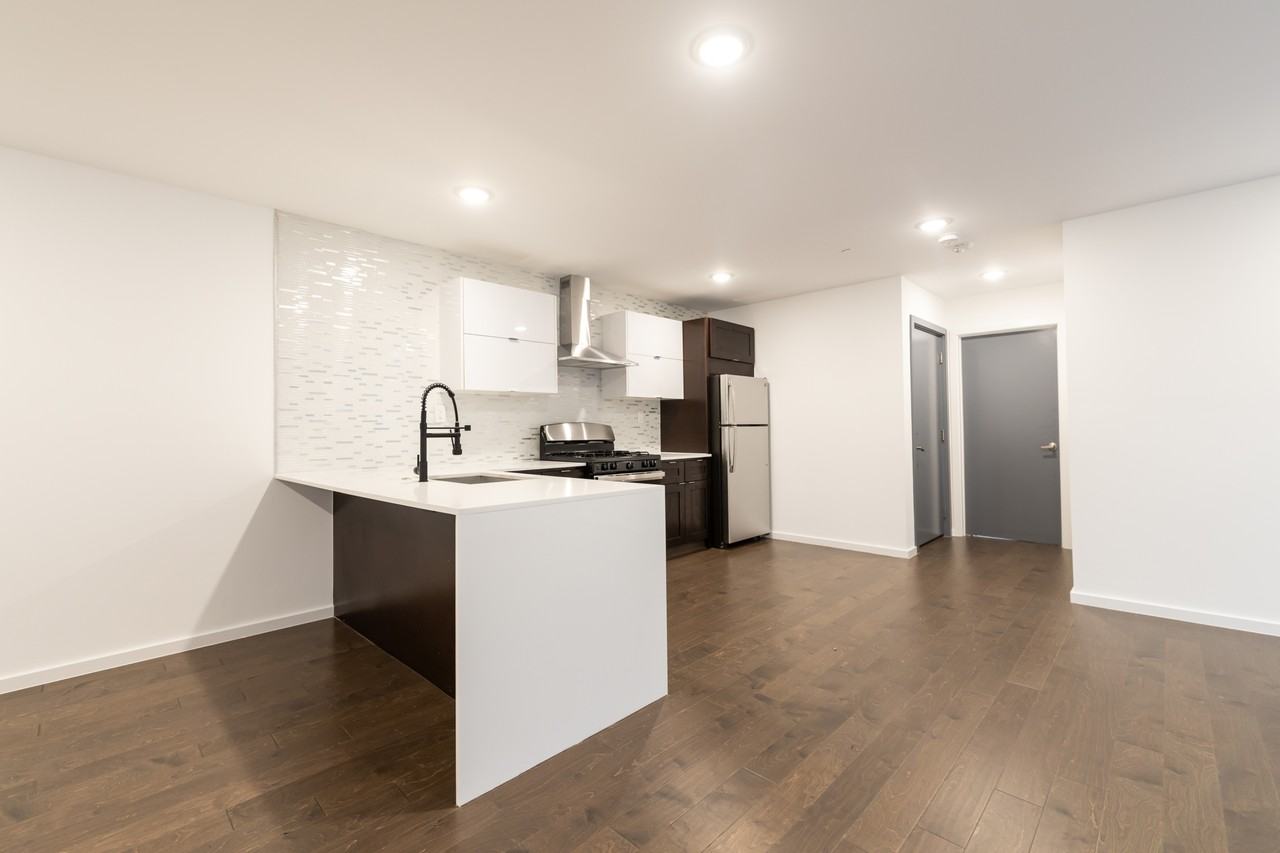 1233 North Franklin Street - Photo 5 of 48