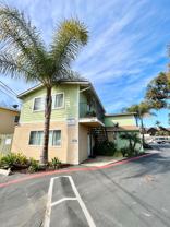 Hermes - Photo 1 of 1