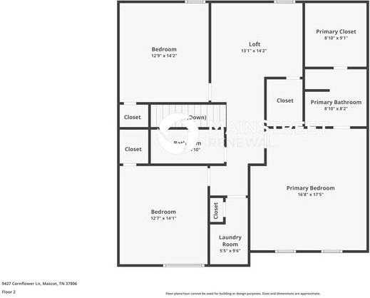9427 Cornflower Ln - Photo 3 of 17