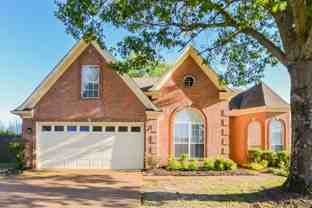 1058 Green Fern Cv - Photo 1 of 1