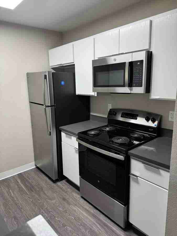 309 Springfield Dr - Photo 4 of 12