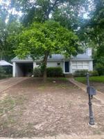 featured image of Melvin Ln