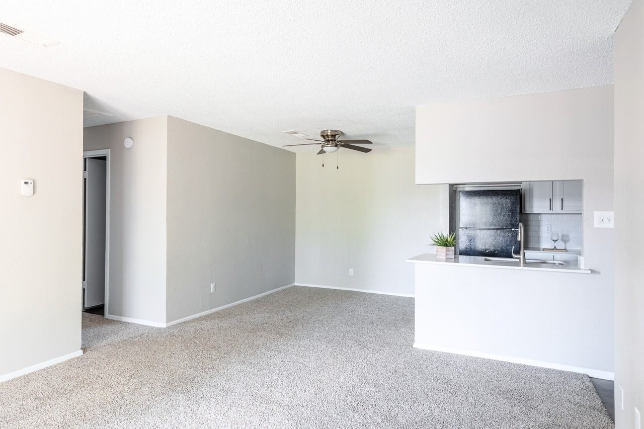 Leander - Photo 7 of 35