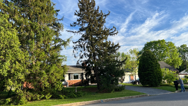 2052 Miller Rd - Photo 2 of 13