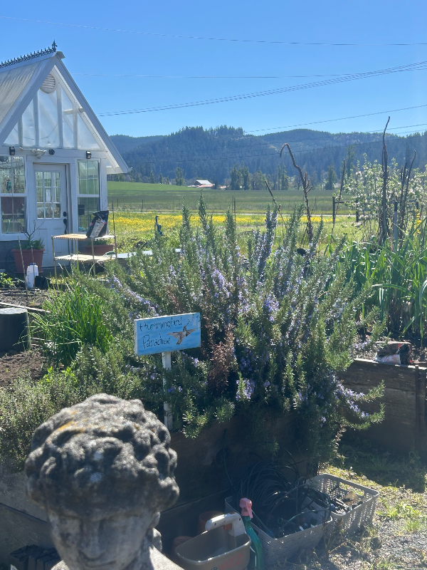 80082 Sears Rd - Photo 7 of 43