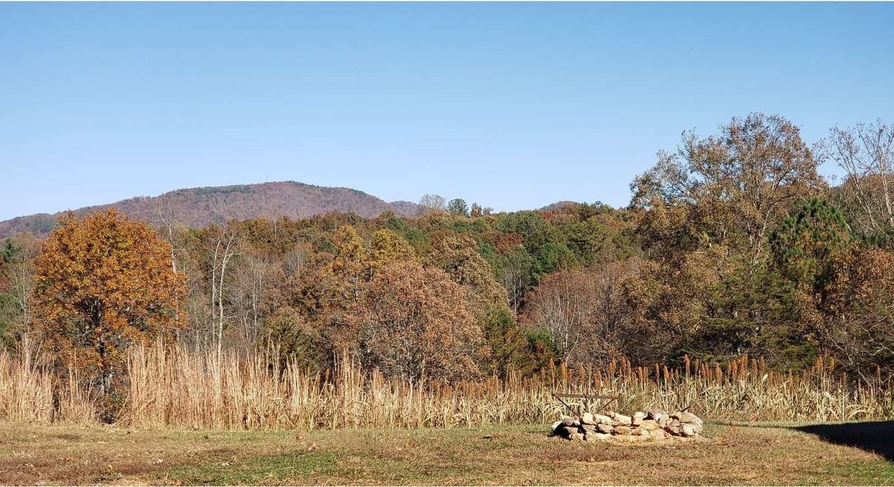 451 Cobb Mountain Rd - Photo 4 of 27