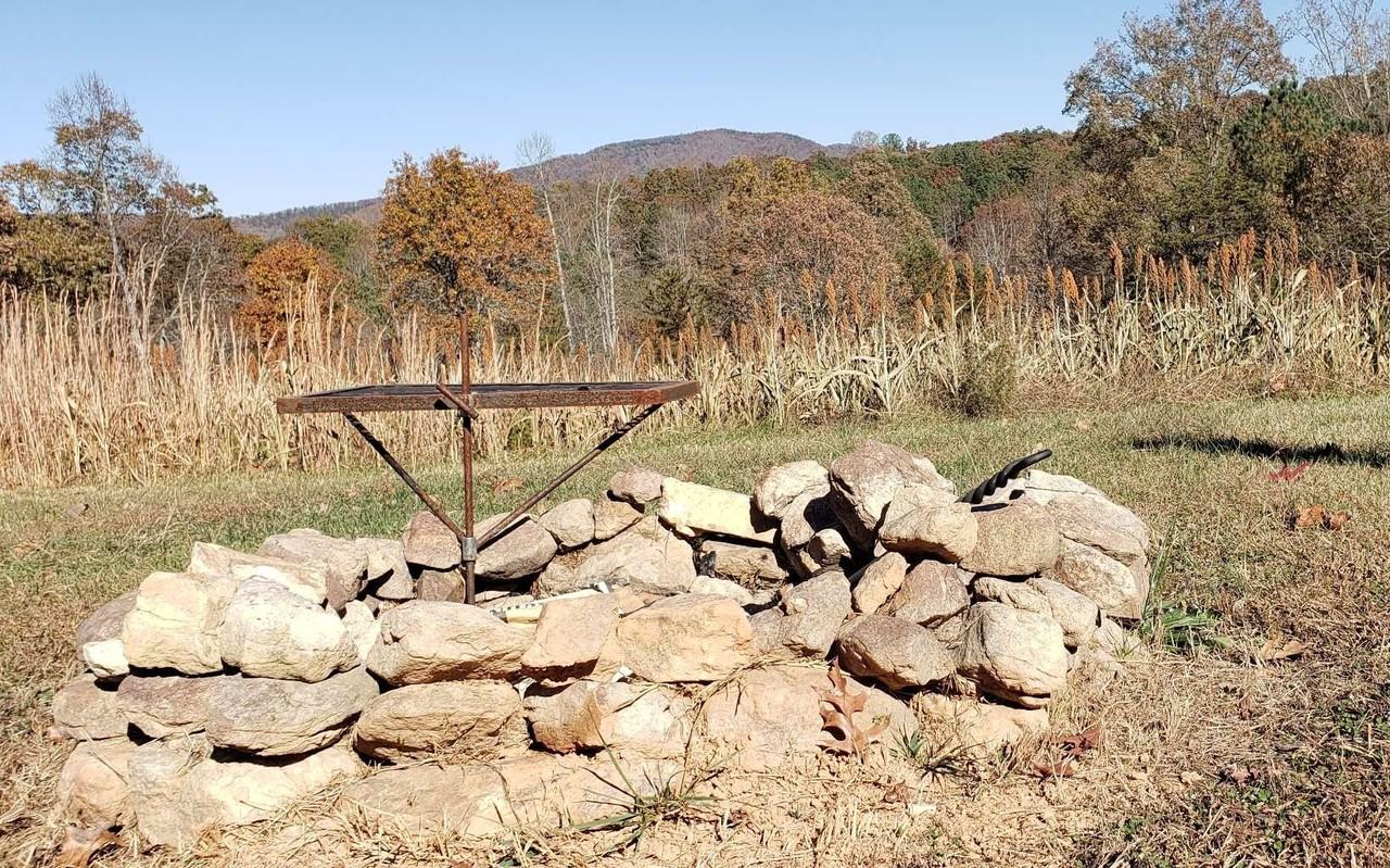 451 Cobb Mountain Rd - Photo 5 of 27