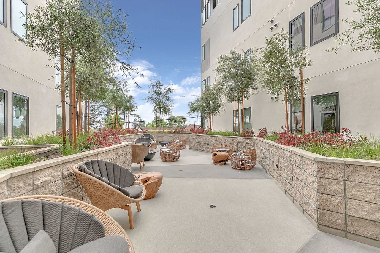 Rinrose - Photo 7 of 50