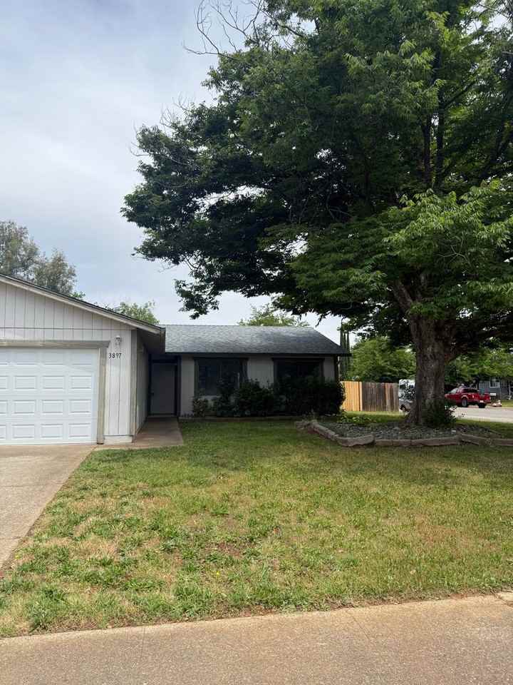 3897 Pegasus St - Photo 3 of 19