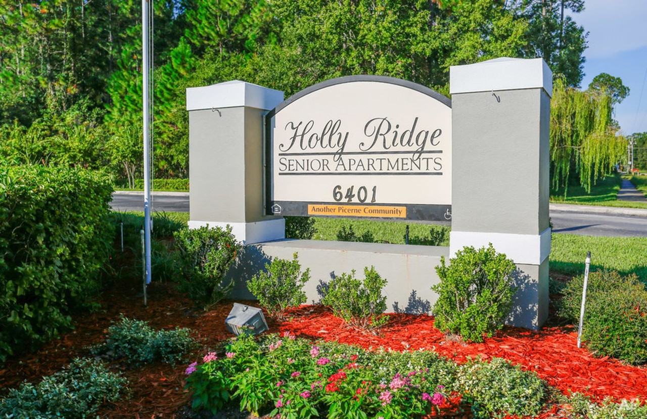 Holly Ridge Apartments – Active Senior Living, Southern Charm, Endless Possibilities! - Photo 4 of 22