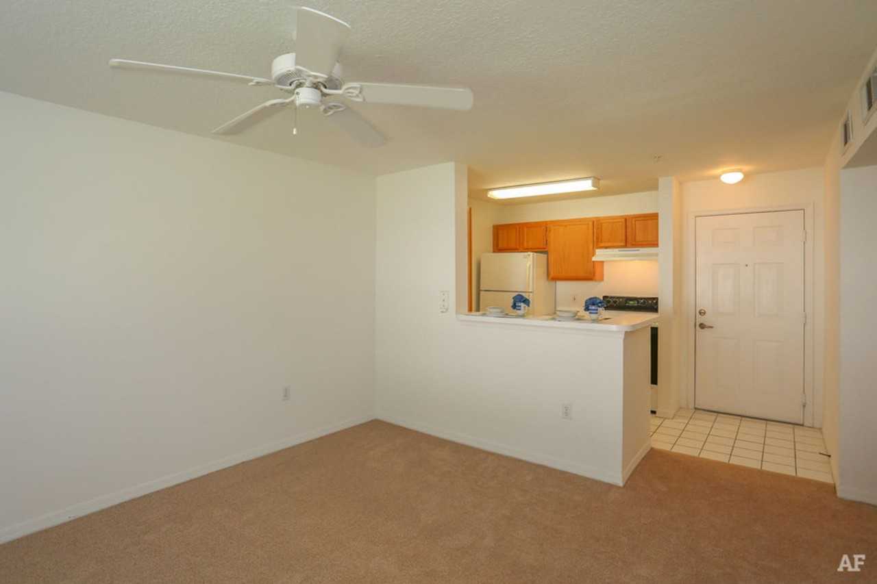 Holly Ridge Apartments – Active Senior Living, Southern Charm, Endless Possibilities! - Photo 6 of 22