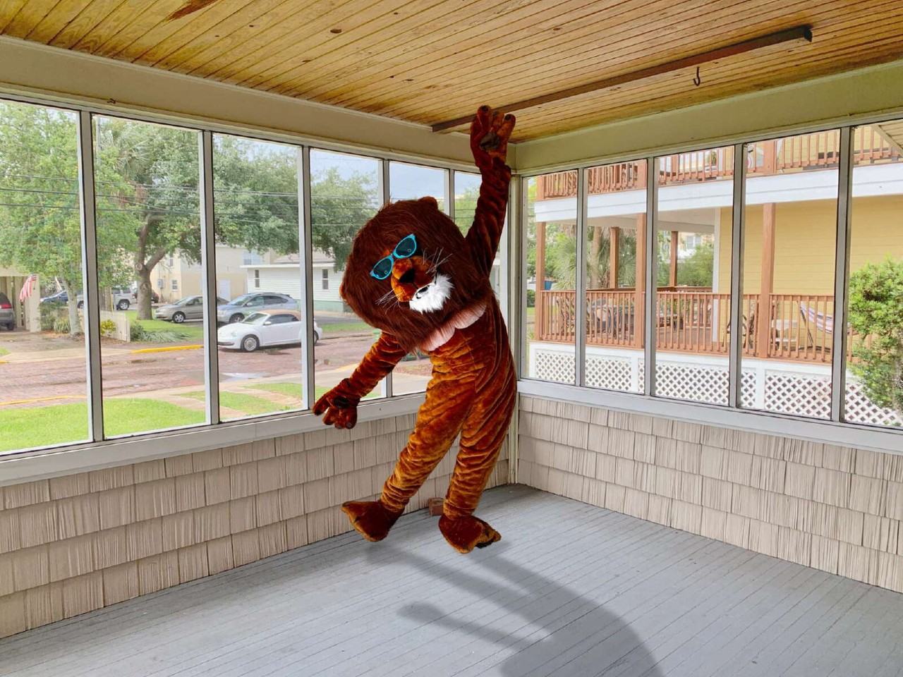 142 Oviedo St - Photo 3 of 15