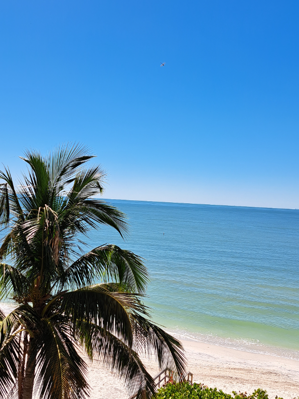 7600 Bayshore Dr - Photo 2 of 16