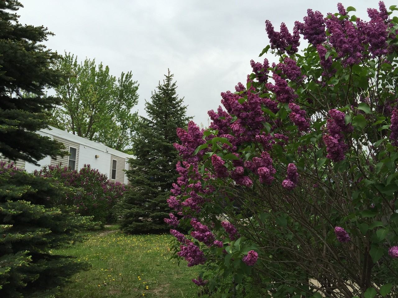 1531 American Boulevard East ##110 - Photo 4 of 22