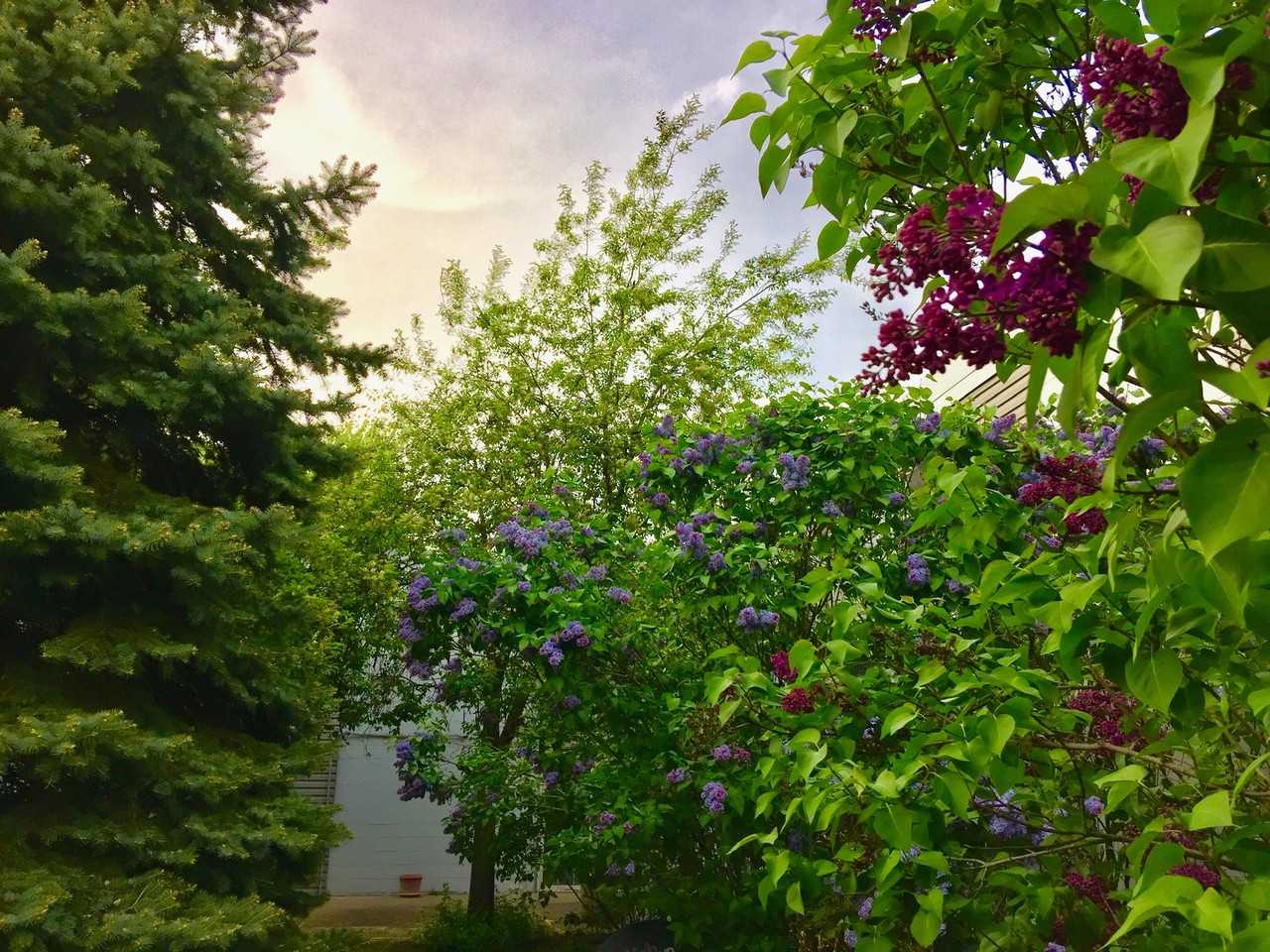 1531 American Boulevard East ##110 - Photo 5 of 22