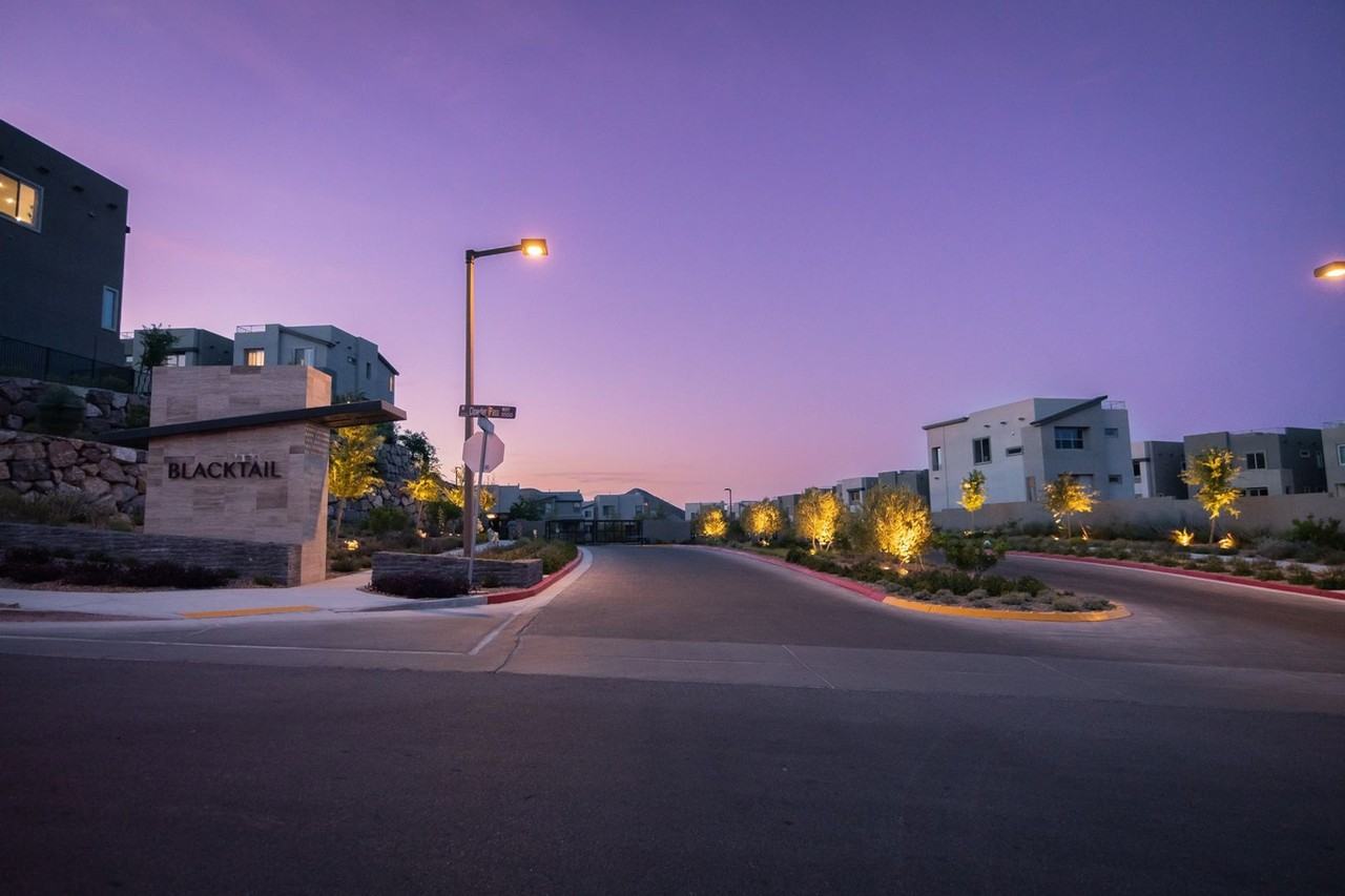 11629 Gentle Birdsong Ave - Photo 3 of 24