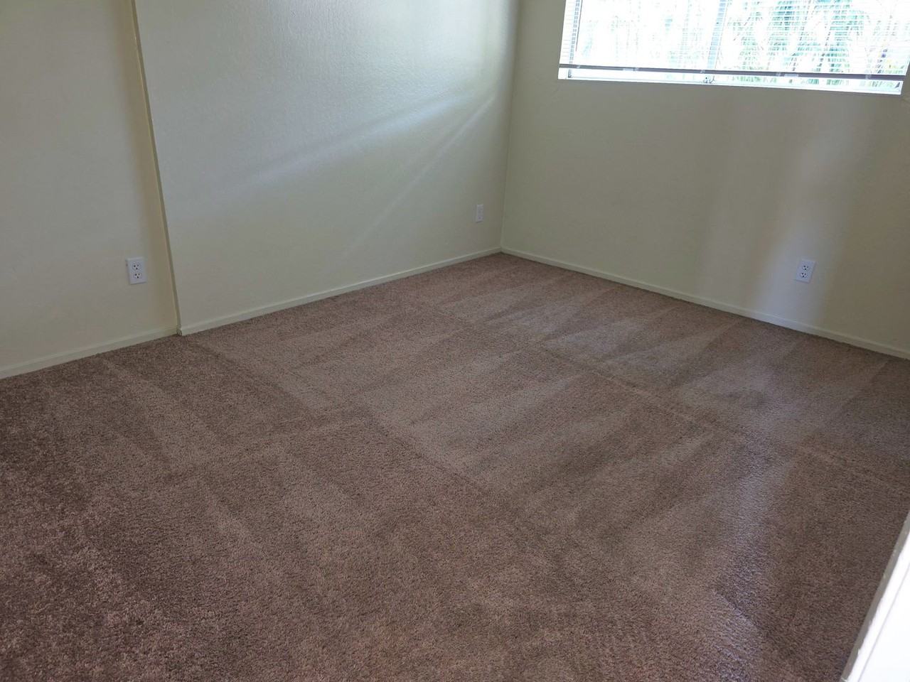 S2253 - Photo 3 of 21