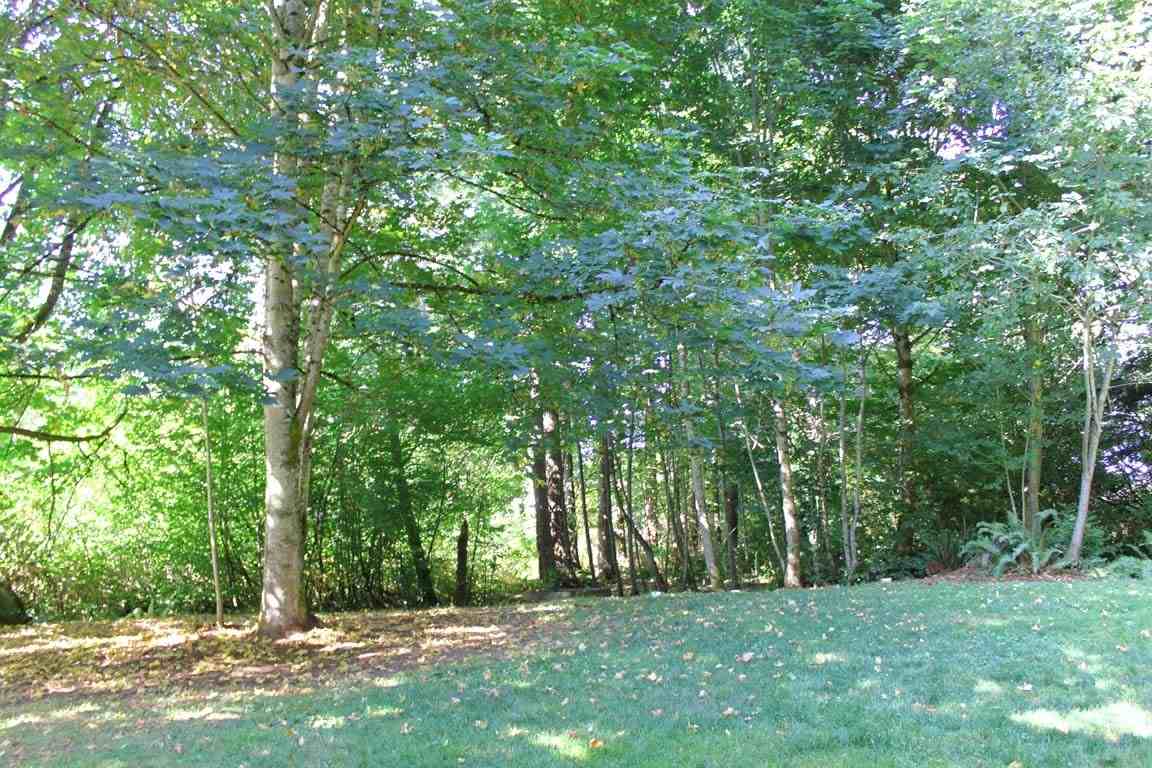 35257 54th Ave S - Photo 2 of 18