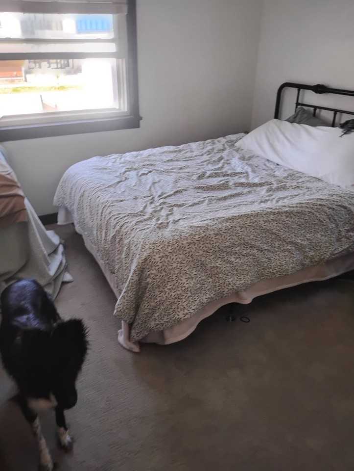 2028 16 St Se - Photo 3 of 19