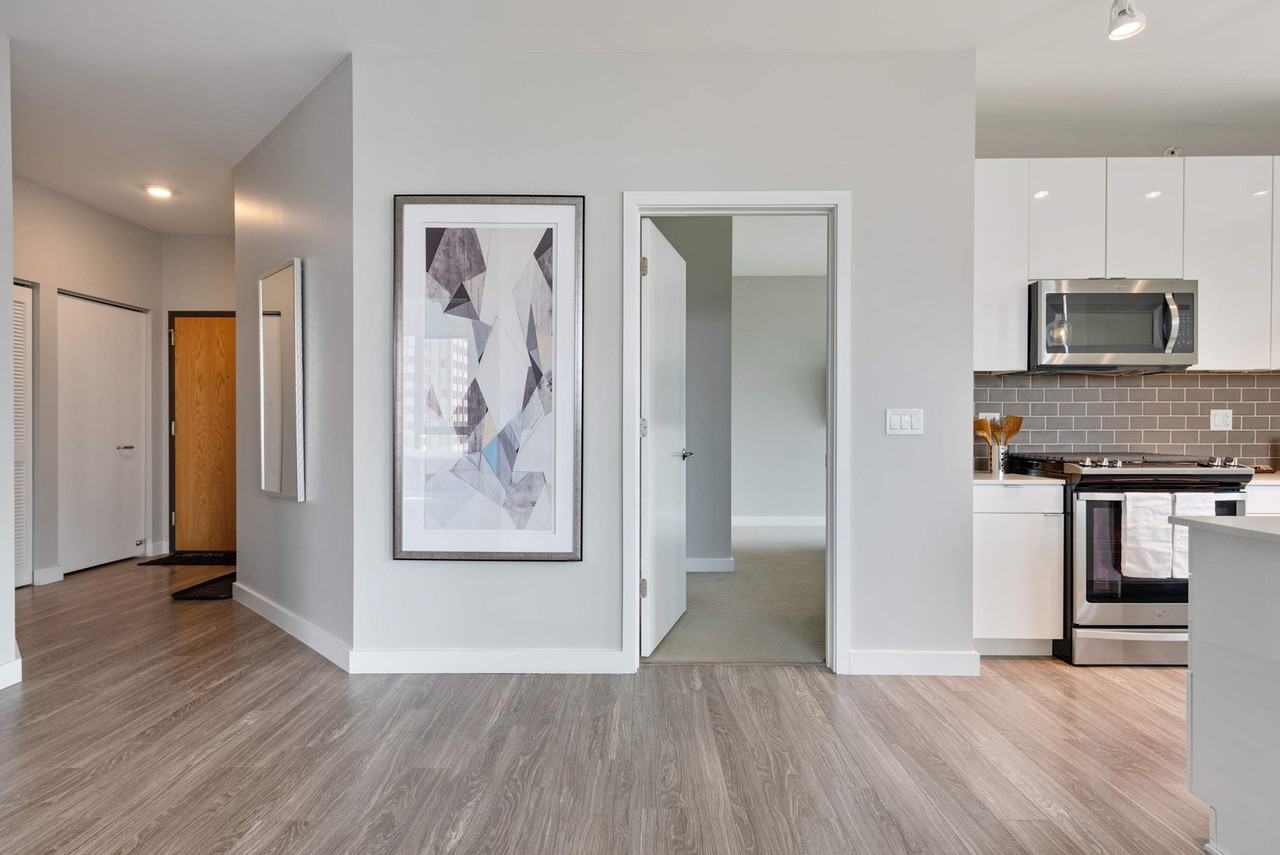 823 North Clark Street - Photo 3 of 98