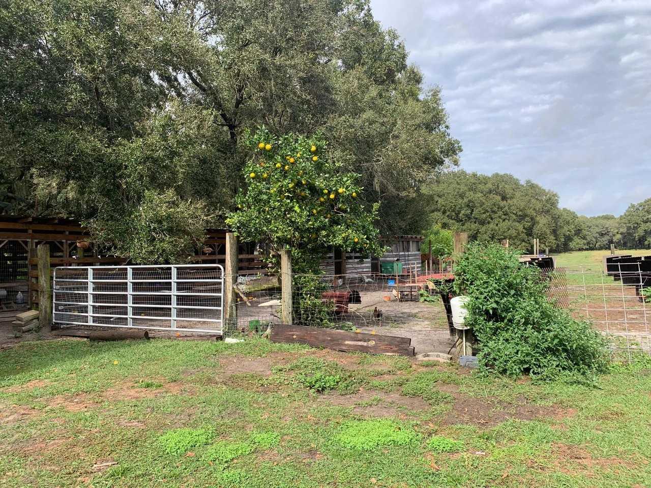 17028 State Road 674 #NA - Photo 4 of 6