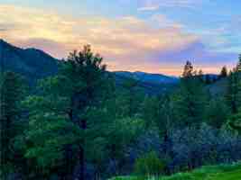 featured image of 11722 S Maxwell Hill Rd #2