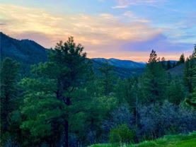 11722 S Maxwell Hill Rd #2 - Photo 1 of 1